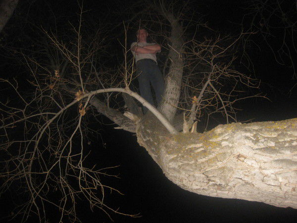 Алексей Бумаго