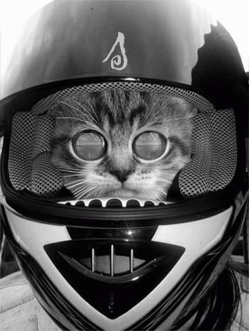 Паша Семечков