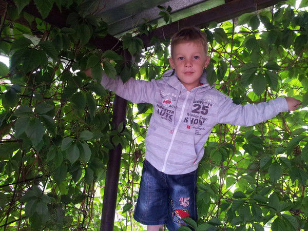 Константин Сетов