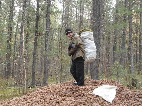 Александр Сапожников
