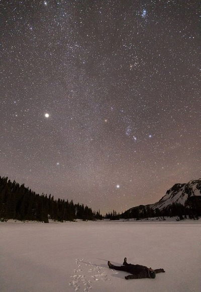 Эльвина Вилданова