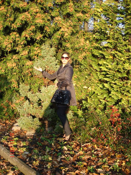 Наталья Доминова