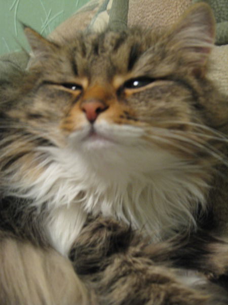 Чупин Александр