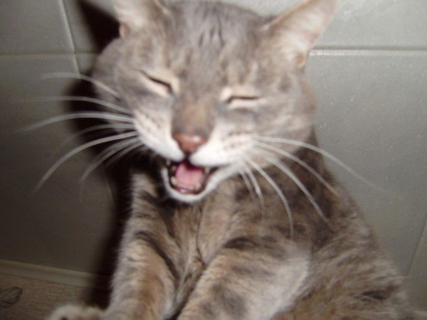 Анна Семенова