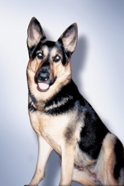 Галина Бусыгина