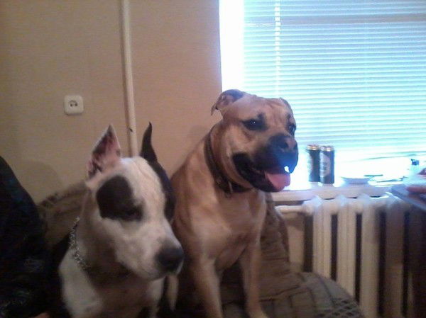 Татьяна Белобородова