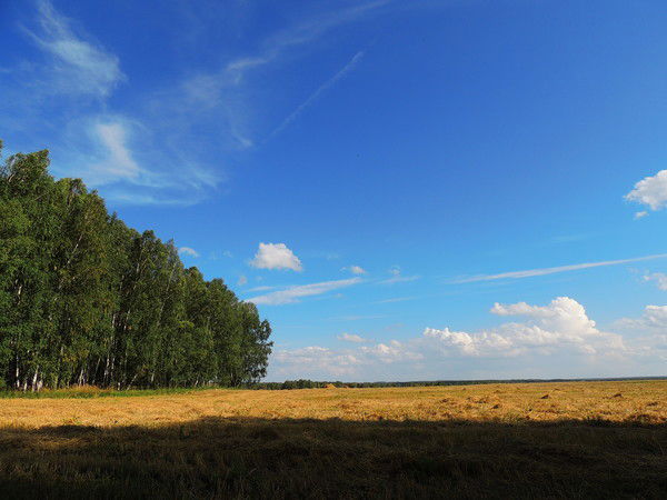Пётр Секерский