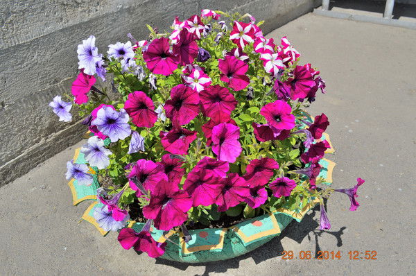 Валентина Жукова