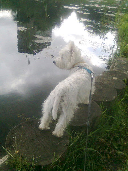 Ольга Валуйская