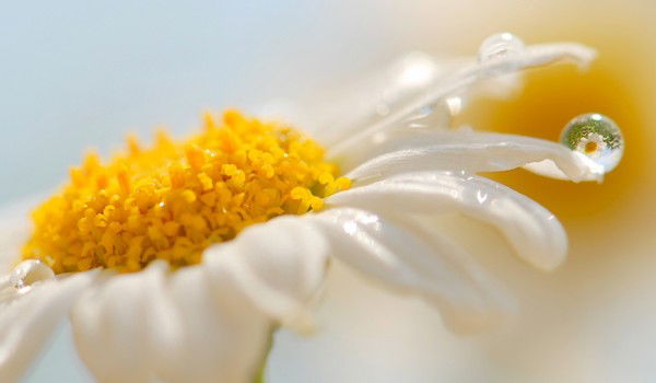 Надежда Щукина