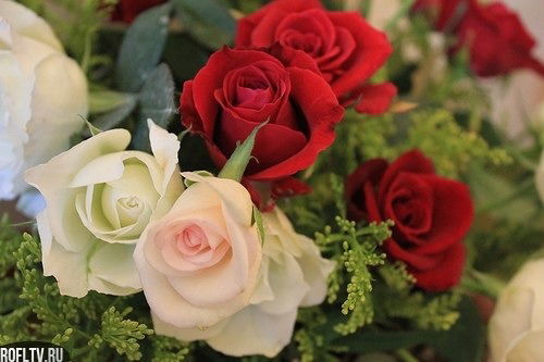 Svetlana Tutkishbaeva