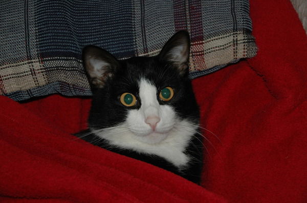 Татьяна Мартынова