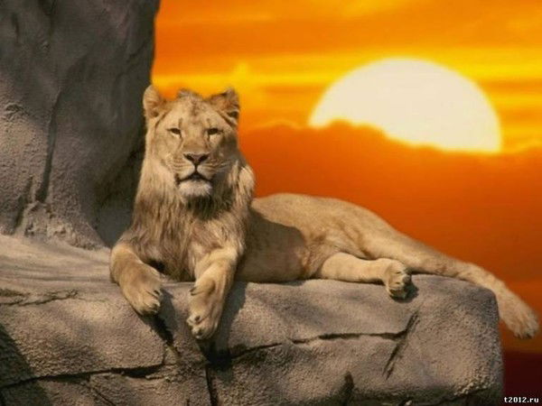 Татьяна .....