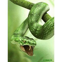 Светочка Яшнова