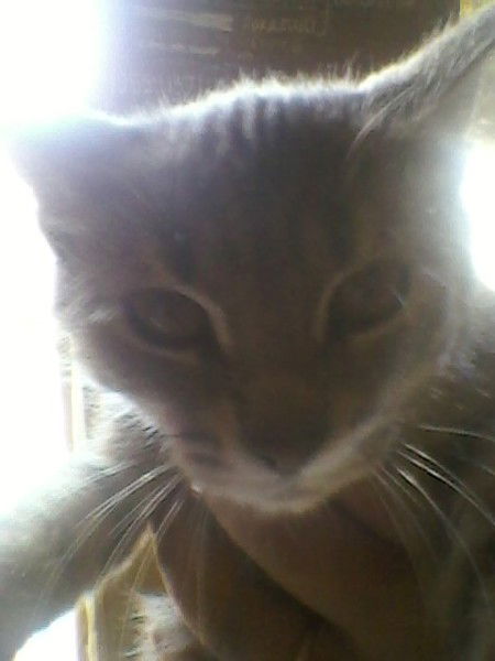 Андрей Пыркин