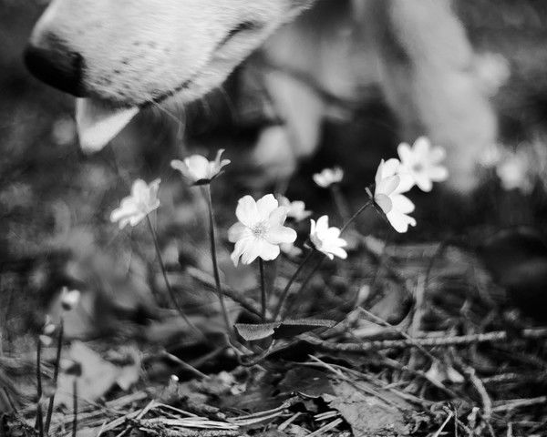 Евгений Шагаров