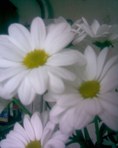 Ирина Рязанцева