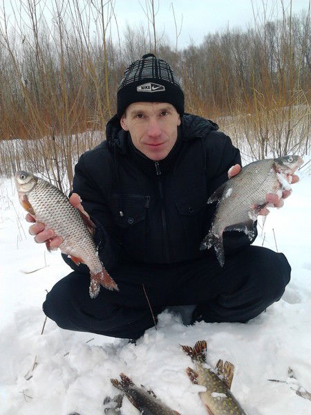 Владислав Цуркан