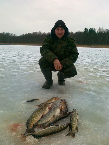 Андрей Горин