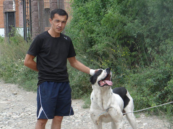 Асхат Сагидуллаевич