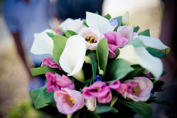 Наталья Соколова