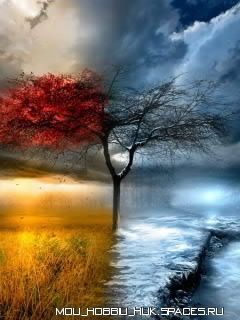 Ильшат Аминов