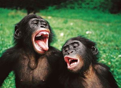 Айнура Шахырова