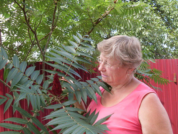 Вера Майорова