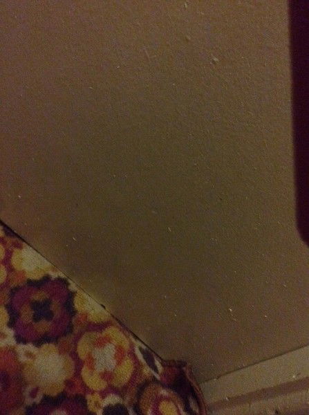 Дмитрий Лапшев