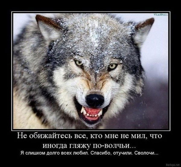 Сергей Васильев