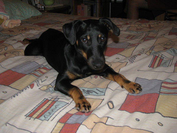 Владимир Гончаров