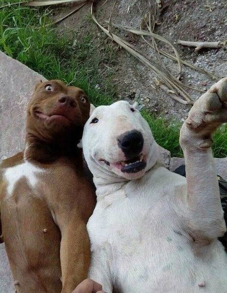 Леонид Новиков