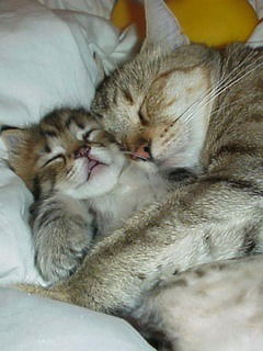 Галина Костомарова