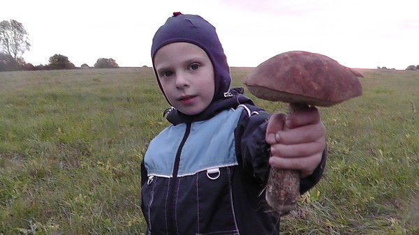 Дмитрий Колесников