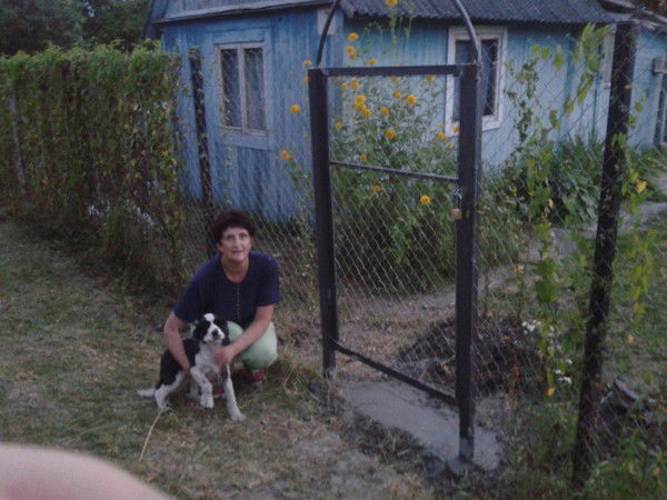 Елена Белозерова