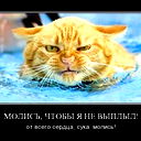 Михаил Азаров