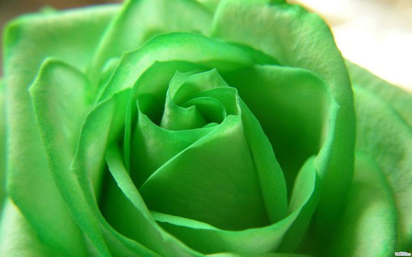 Манзура Исламова