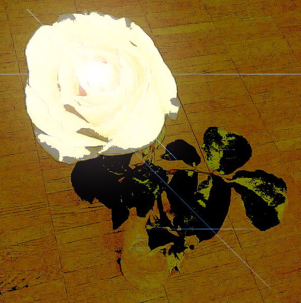 Наталья Штыкова(Шарова)