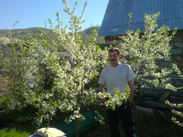 Пётр Скалдин