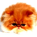 Лариса Фомина