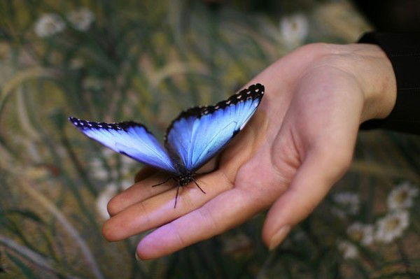 Сервисный Центр Сопровождения До Гку Яна