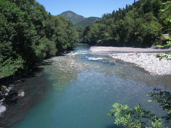 Валерий Черемнов