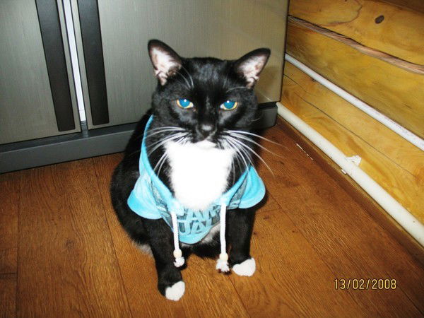 Ирина Шалининова