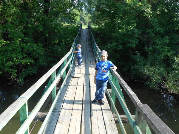 Елизавета Шелль