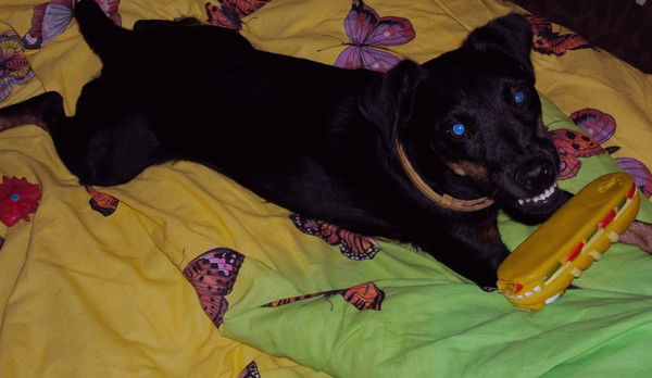 Ира Буханова