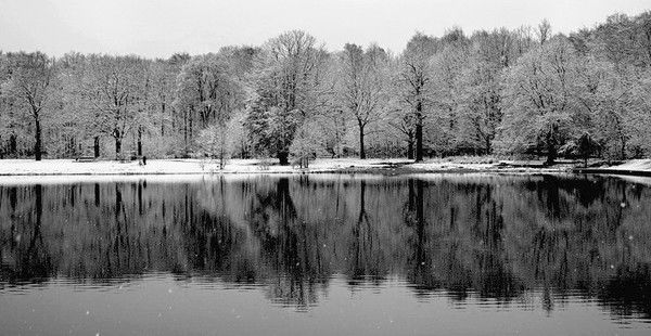 Алёна Швенько