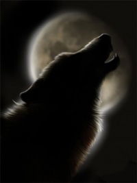 Павел Кузьмин Тюряга