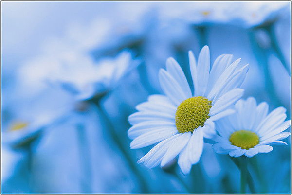 Мария Избавителева