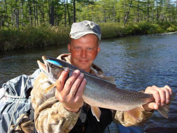 Алексей Кривошеев