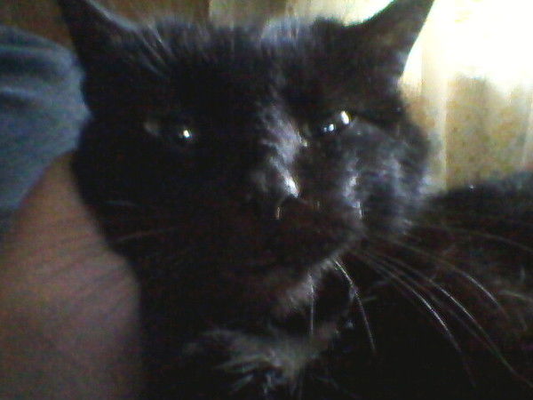 Ольга Жилина